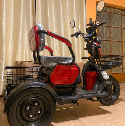 TRIMOTO ELECTRICA 1000W